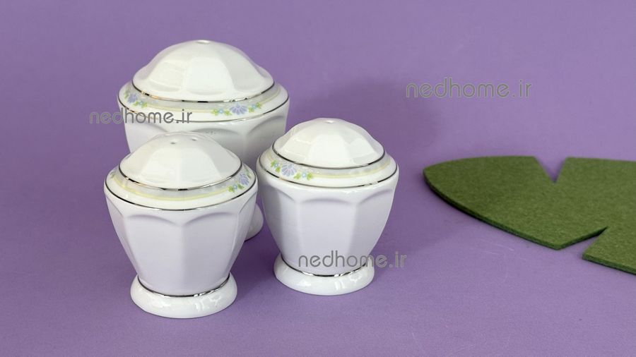 نمک پاش و فلفل پاش چینی زرین طرح گلاریس - دو عدد - درجه یک 1 ست نمک پاش