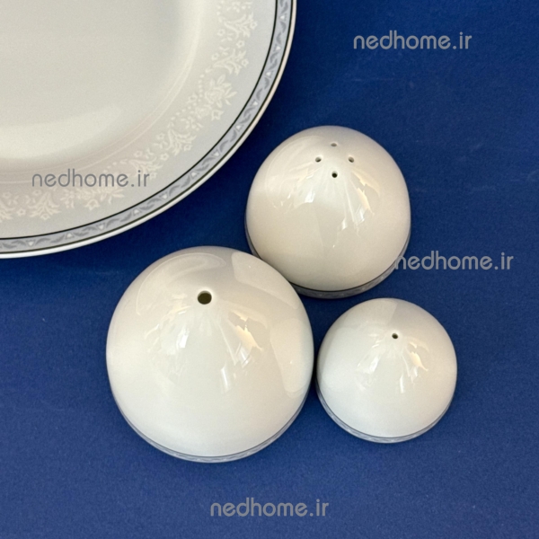 نمکدان و فلفل پاش خاص و مینیمال چینی زرین طرح ساده وایت رز