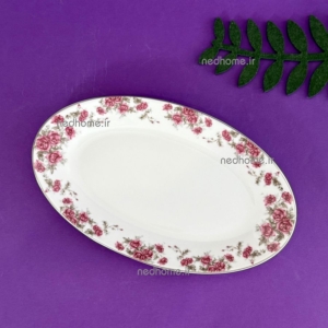 دیس 24 cm آران