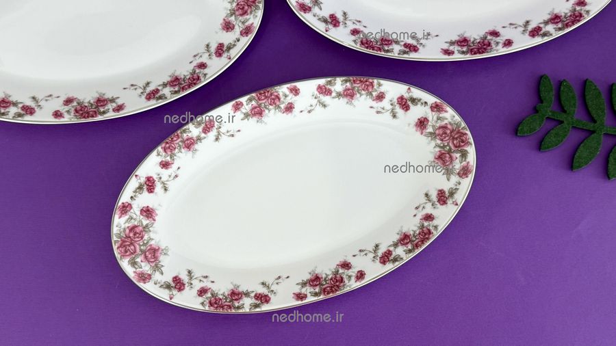 دیس 24 cm آران