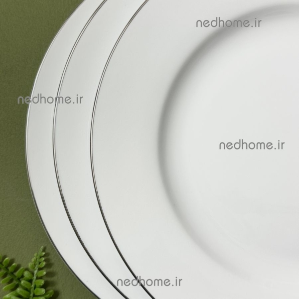 بشقاب میوه خوری دورنقره ای چینی زرین
