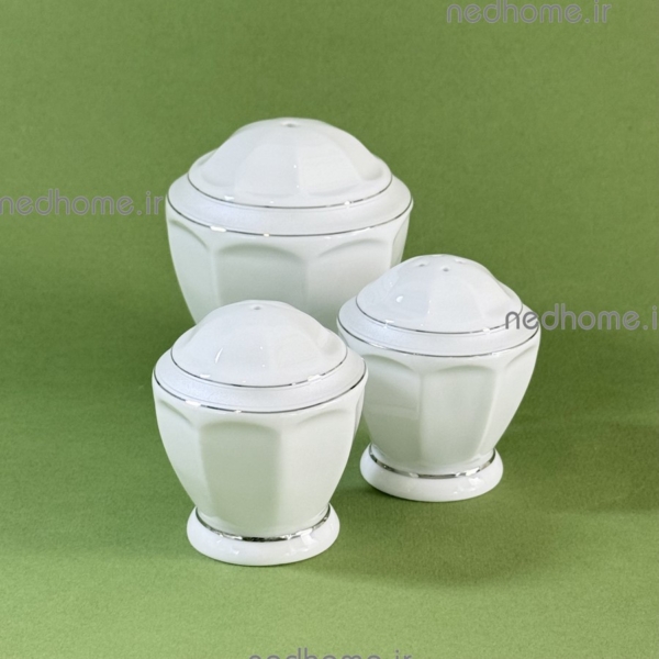 ست نمکپاش لب نقره ای چینی زرین طرح دلسا