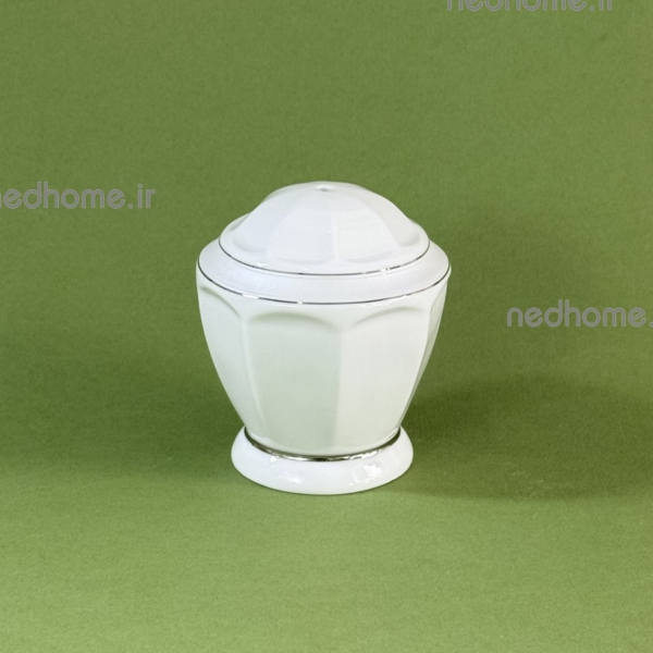 نمکدان لب نقره ای دلسا چینی زرین