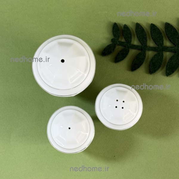 ست رومیزی نمکپاش چینی زرین طرح دلسا